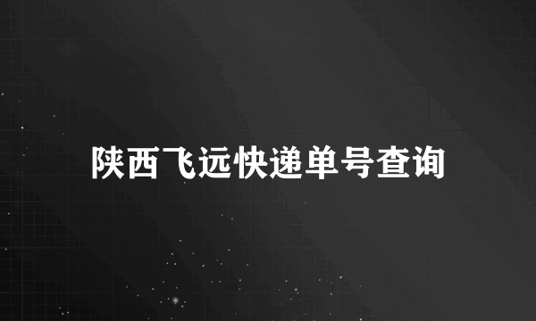 陕西飞远快递单号查询