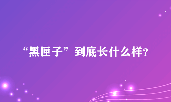 “黑匣子”到底长什么样？