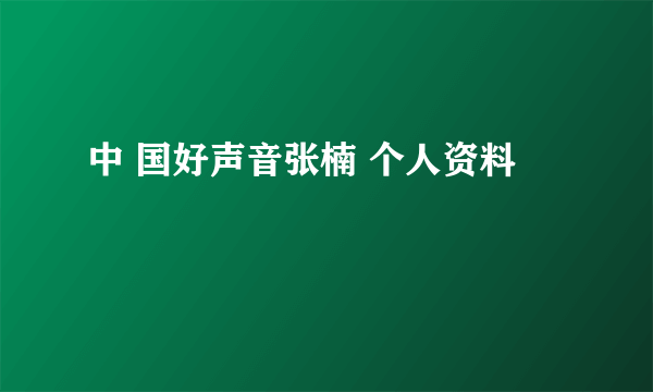 中 国好声音张楠 个人资料