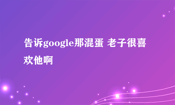 告诉google那混蛋 老子很喜欢他啊