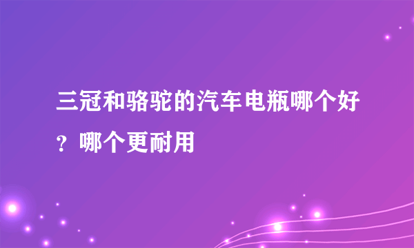 三冠和骆驼的汽车电瓶哪个好？哪个更耐用