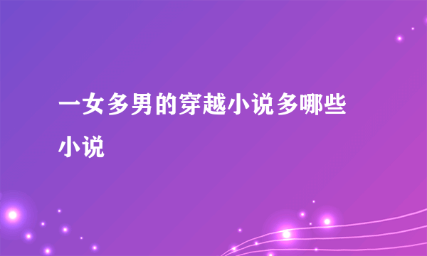 一女多男的穿越小说多哪些 小说