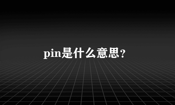 pin是什么意思？