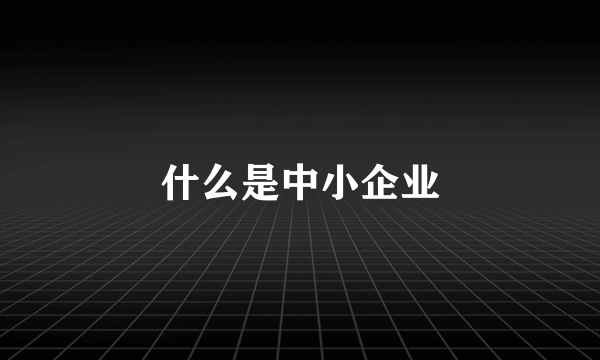 什么是中小企业