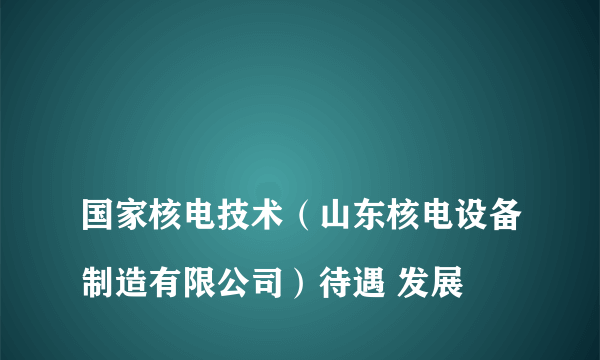 
国家核电技术（山东核电设备制造有限公司）待遇 发展

