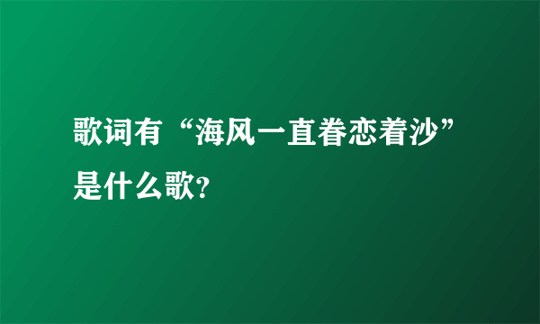 歌词有“海风一直眷恋着沙”是什么歌？