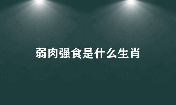 弱肉强食是什么生肖