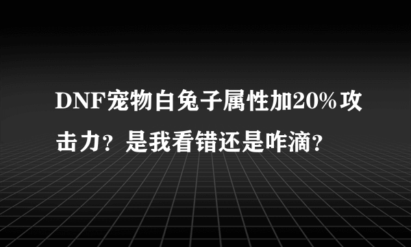 DNF宠物白兔子属性加20%攻击力？是我看错还是咋滴？