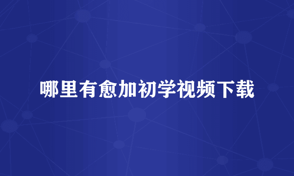 哪里有愈加初学视频下载