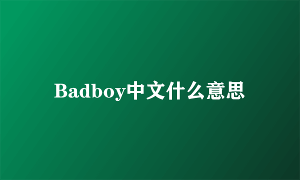 Badboy中文什么意思