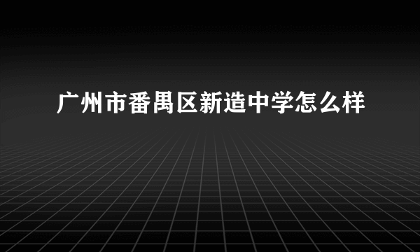 广州市番禺区新造中学怎么样