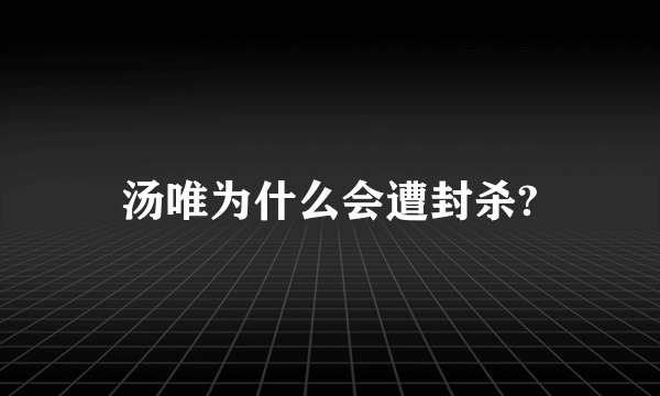 汤唯为什么会遭封杀?