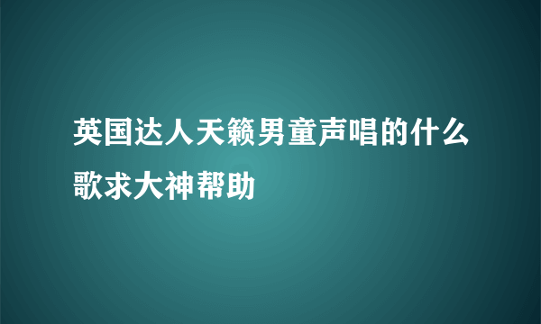 英国达人天籁男童声唱的什么歌求大神帮助