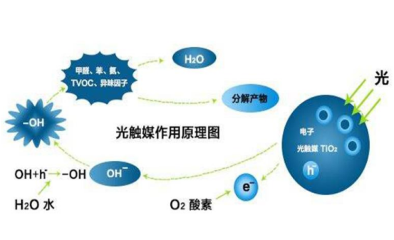 醋去除甲醛最有效的方法