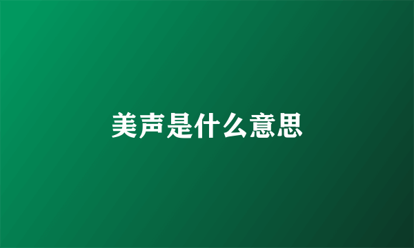 美声是什么意思