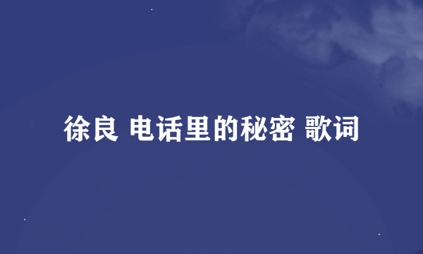 徐良 电话里的秘密 歌词