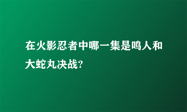 在火影忍者中哪一集是鸣人和大蛇丸决战?