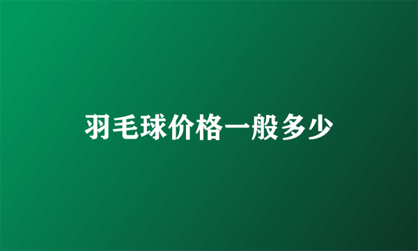 羽毛球价格一般多少