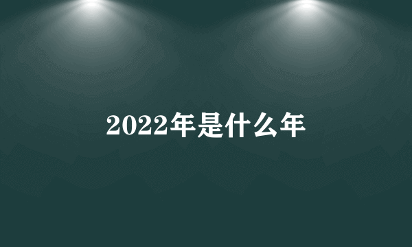 2022年是什么年