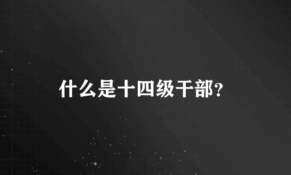 什么是十四级干部？