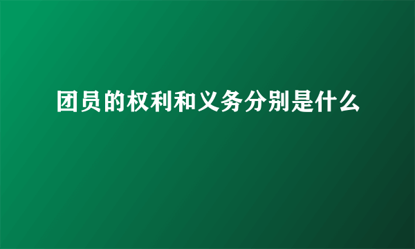 团员的权利和义务分别是什么