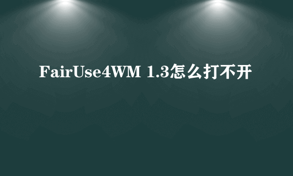 FairUse4WM 1.3怎么打不开