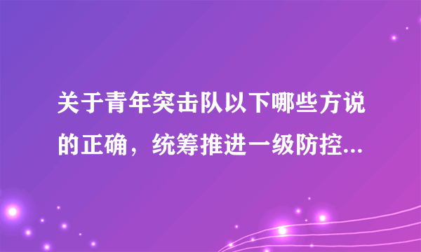 关于青年突击队以下哪些方说的正确，统筹推进一级防控和经济社会发展工作我们要？