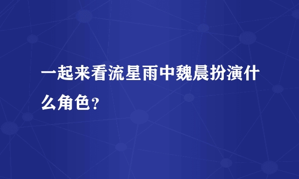 一起来看流星雨中魏晨扮演什么角色？