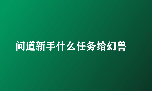 问道新手什么任务给幻兽玦