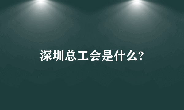 深圳总工会是什么?