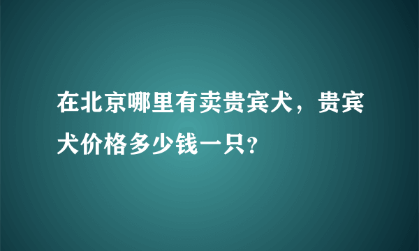 在北京哪里有卖贵宾犬，贵宾犬价格多少钱一只？