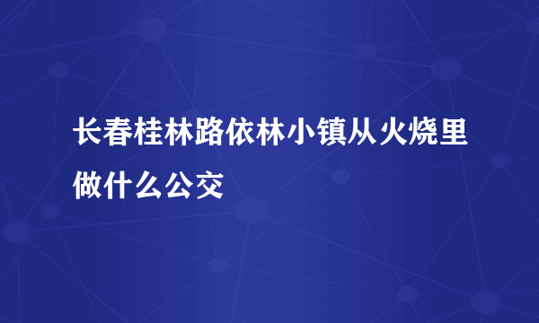 长春桂林路依林小镇从火烧里做什么公交