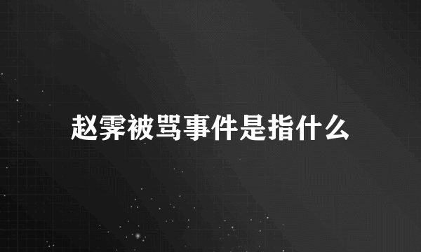 赵霁被骂事件是指什么