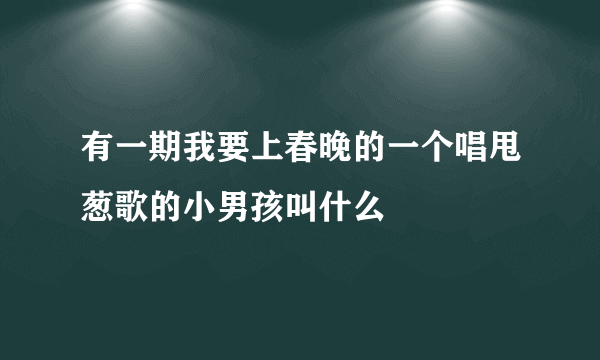 有一期我要上春晚的一个唱甩葱歌的小男孩叫什么