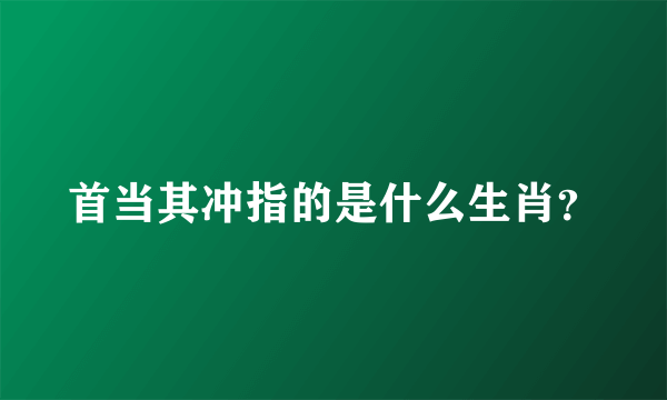 首当其冲指的是什么生肖？