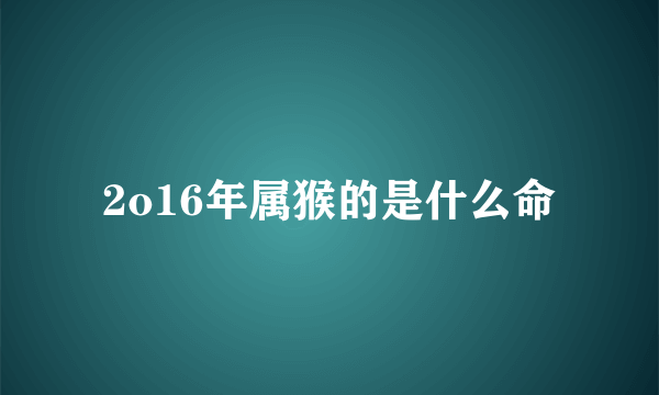 2o16年属猴的是什么命