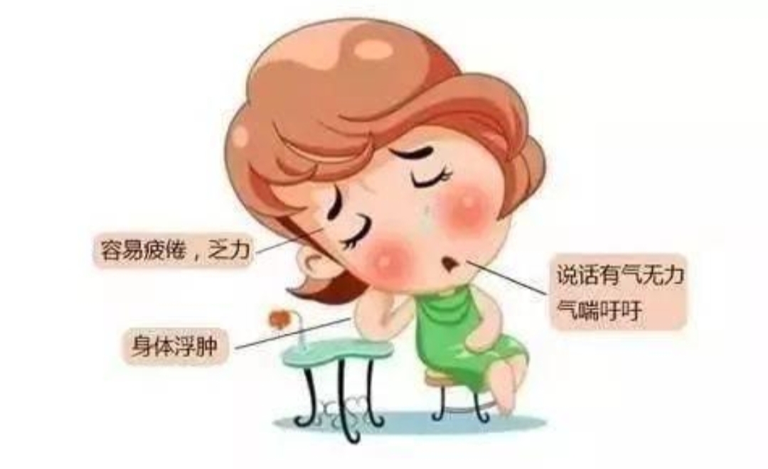 血虚吃什么好？