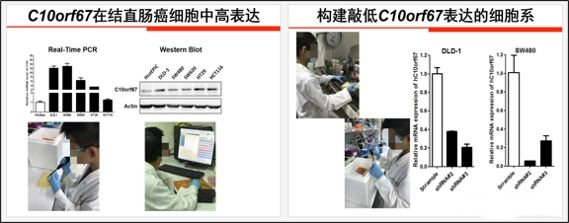 小学生研究癌症获奖组委会回应，违反大赛规则将如何处置？