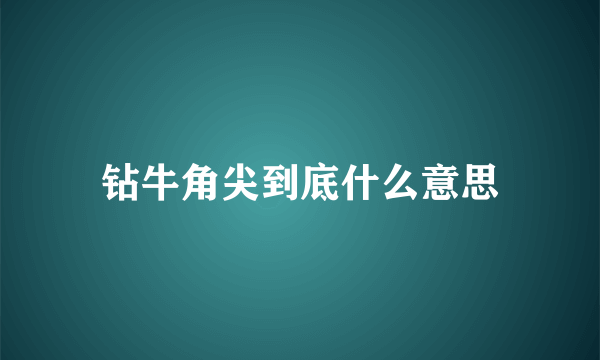 钻牛角尖到底什么意思