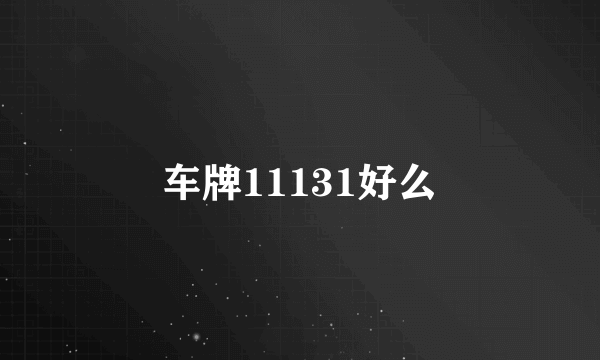 车牌11131好么