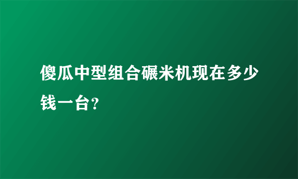 傻瓜中型组合碾米机现在多少钱一台？