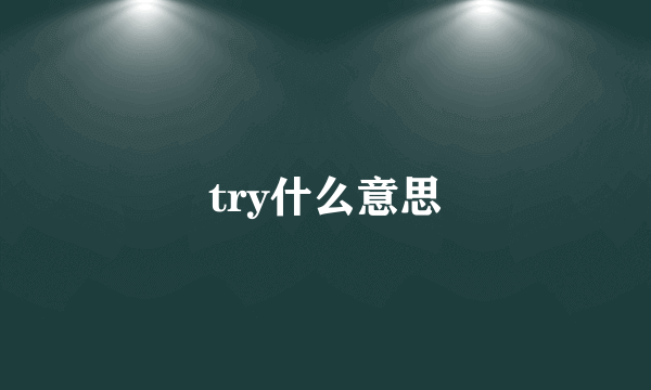 try什么意思