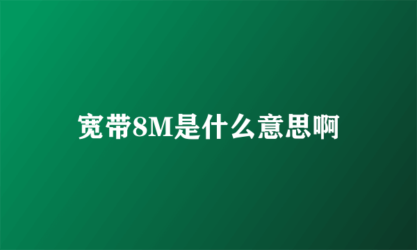 宽带8M是什么意思啊