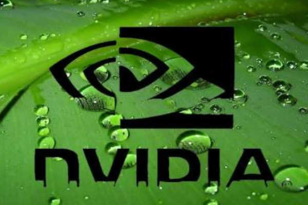 NVIDIA是啥牌的显卡？