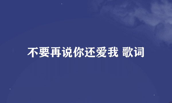 不要再说你还爱我 歌词