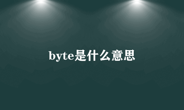 byte是什么意思