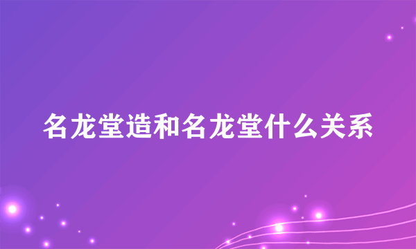 名龙堂造和名龙堂什么关系