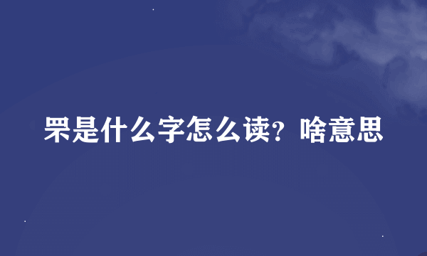 罘是什么字怎么读？啥意思