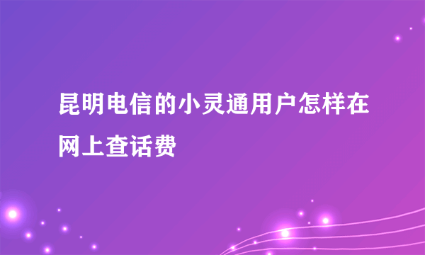 昆明电信的小灵通用户怎样在网上查话费