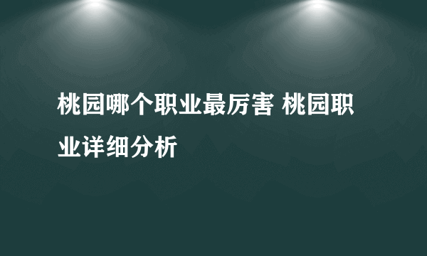 桃园哪个职业最厉害 桃园职业详细分析